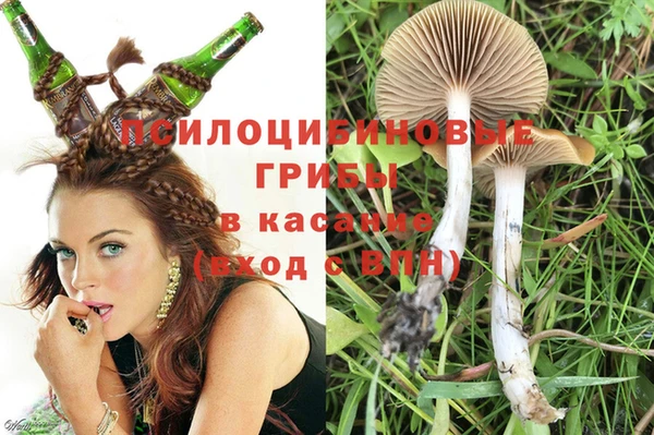 ПСИЛОЦИБИНОВЫЕ ГРИБЫ Алексин