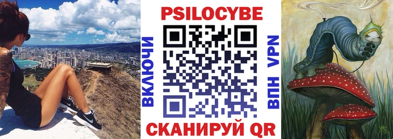 Галлюциногенные грибы Psilocybe  Рошаль 